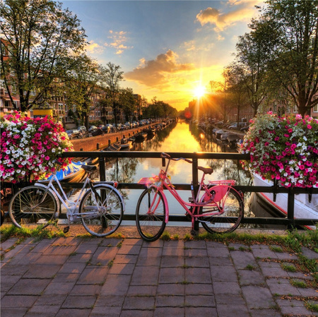 MALOWANIE PO NUMERACH Z RAMĄ Obrazy Do Malowania Zestaw OBRAZ 40X50 Prezent