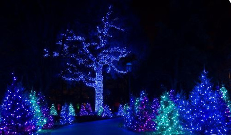 LAMPKI CHOINKOWE 300 LED ZEWNĘTRZNE STAŁE FLASH IP44 GRUBY KABEL NIEBIESKIE