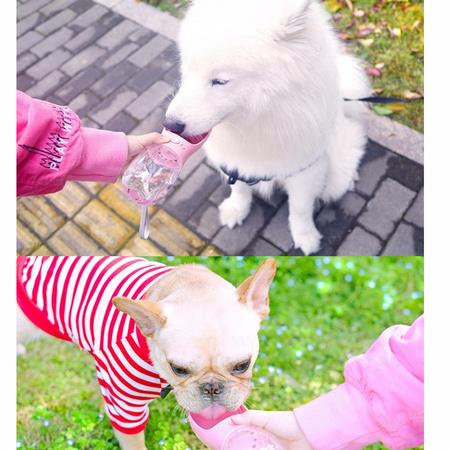 BUTELKA MISKA TURYSTYCZNA BIDON NA WODĘ PRZENOŚNA POIDŁO DLA PSA KOTA