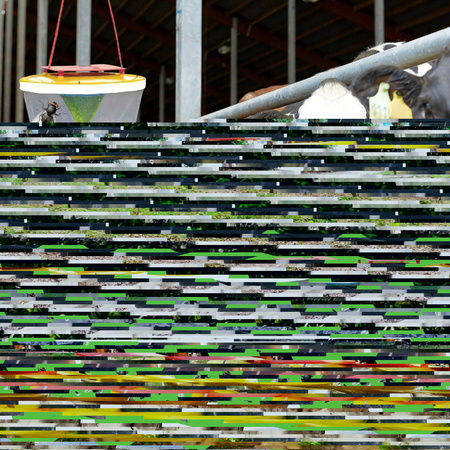 WOREK PUŁAPKA NA MUCHY OWADY PRZYNĘTA SKUTECZNY ŚRODEK Z WABIKIEM WABIK XXL