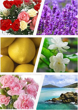 OLEJKI ZAPACHOWE ETERYCZNE AROMATERAPIA DO NAWILŻACZA KOMINKA ZESTAW 12 SZT